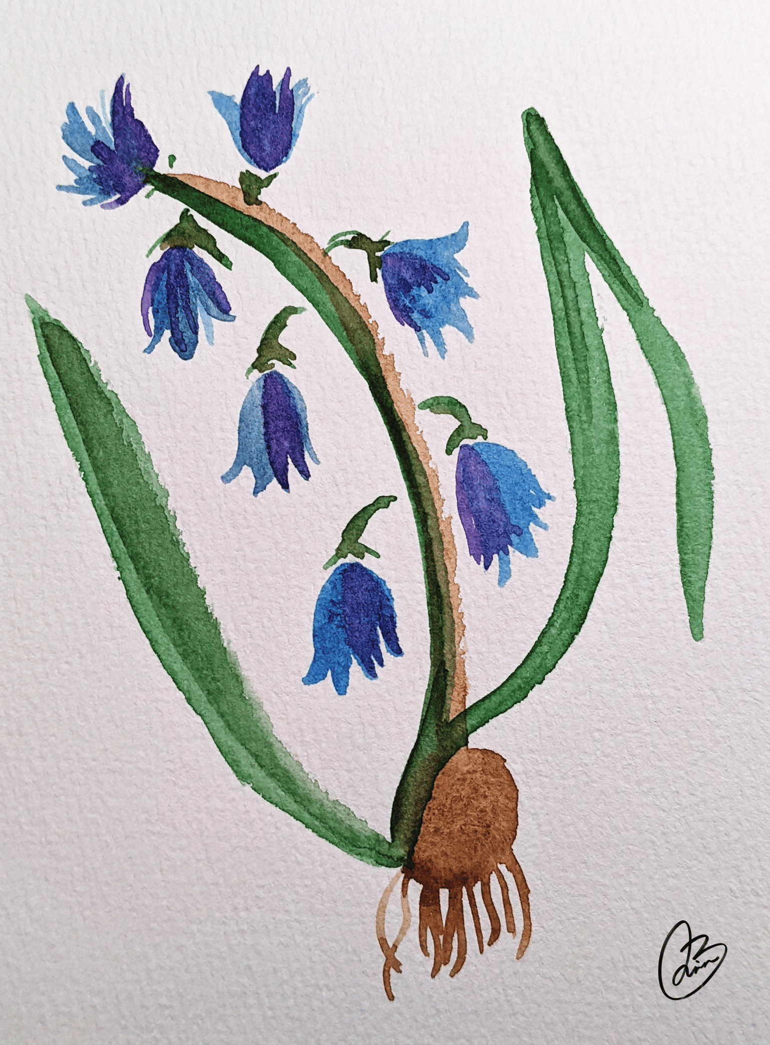 Snowdrop - image 4 - student project