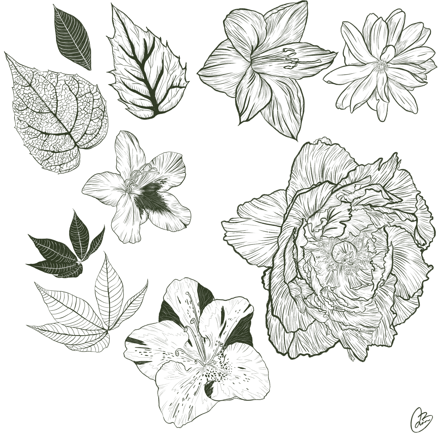 Botanical stamps - image 2 - student project