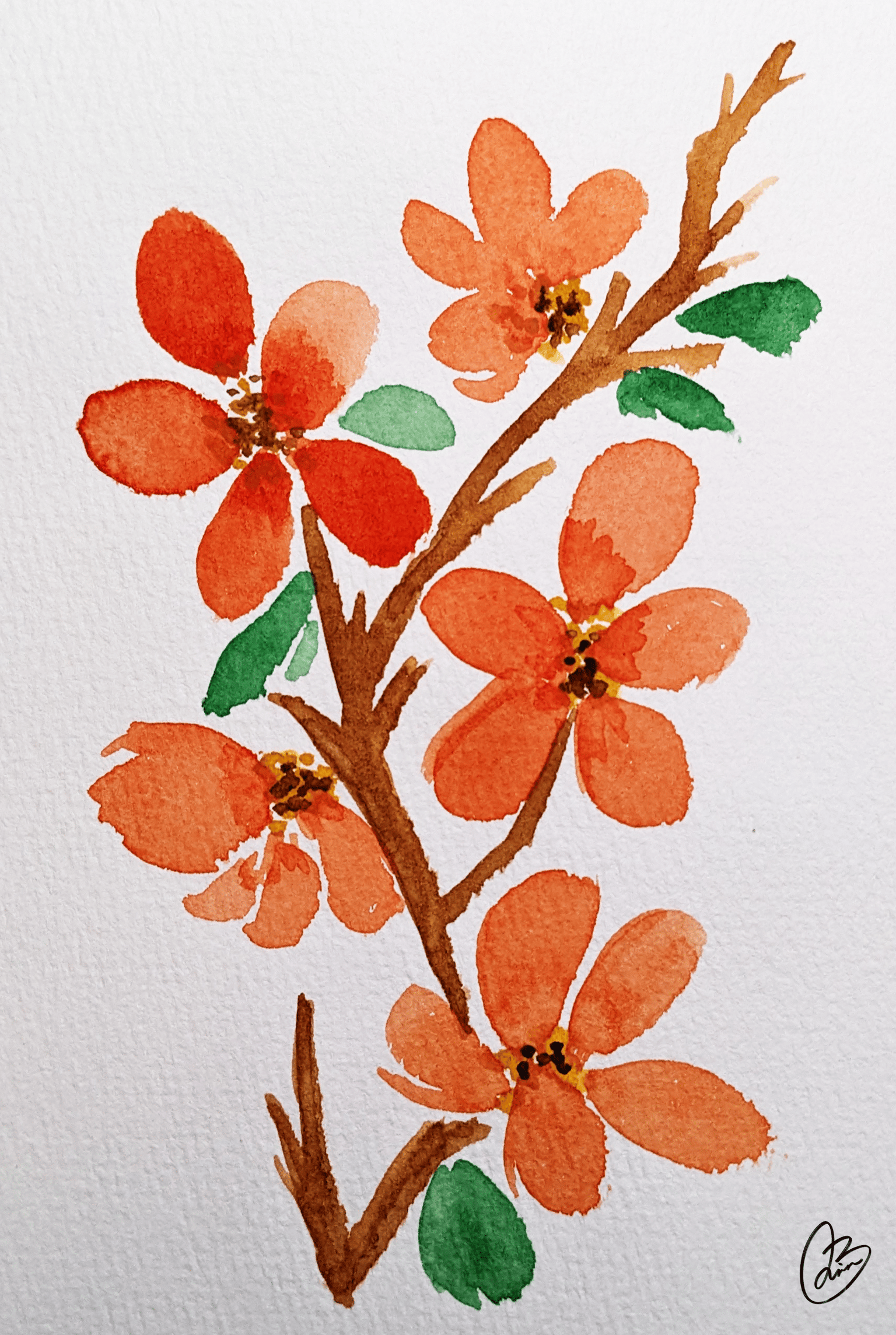 Snowdrop - image 3 - student project