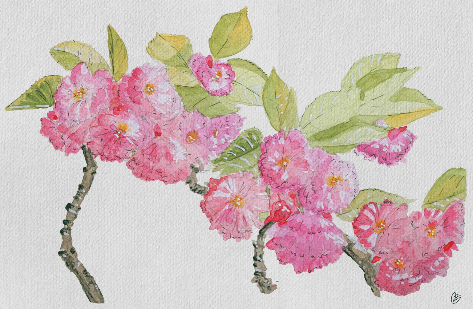 Watercolor florals - image 1 - student project