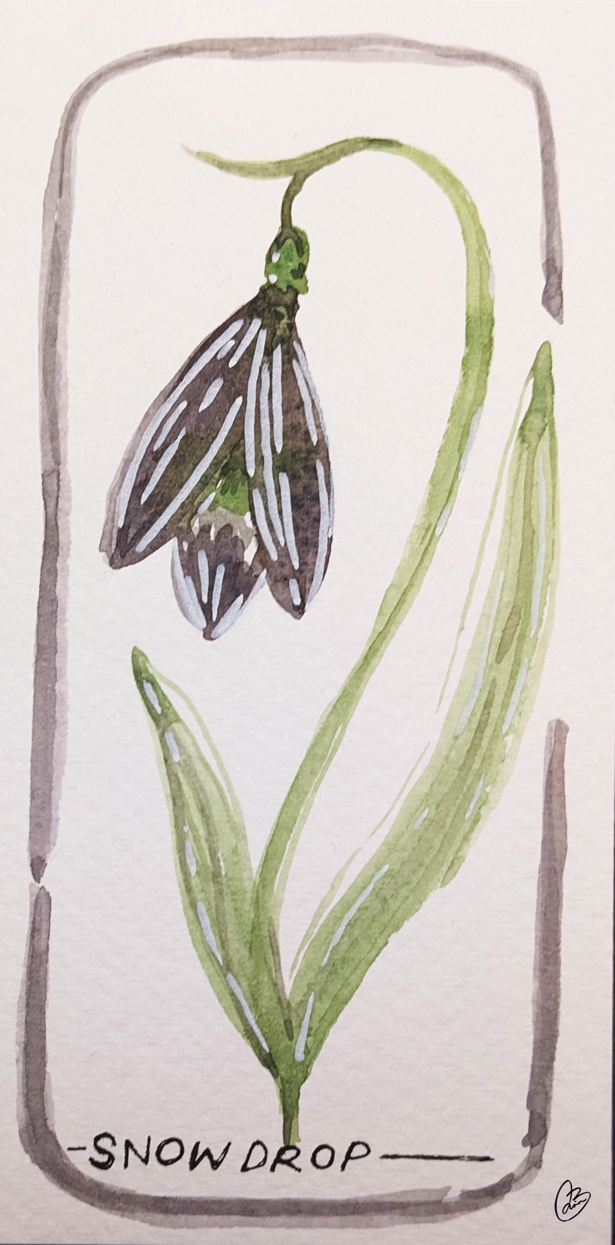 Snowdrop - image 1 - student project