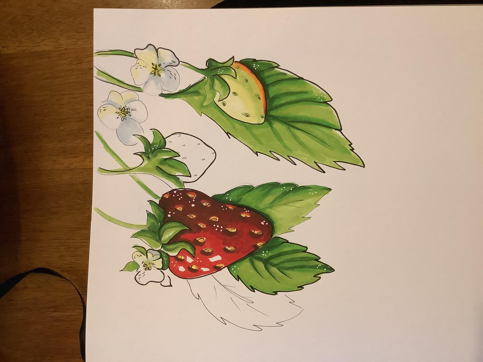 Expressive fruits with markers - image 3 - student project