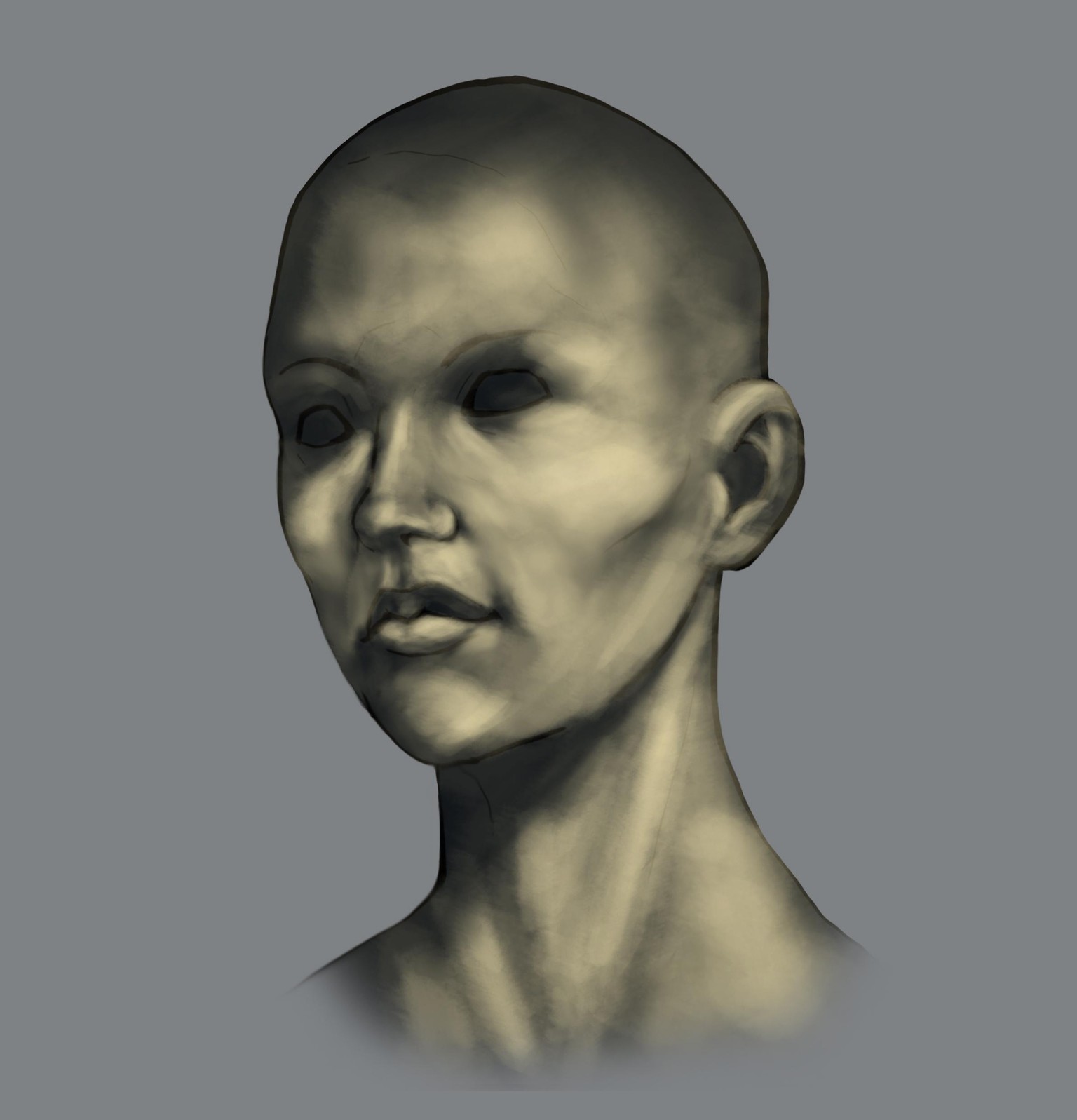 Head Study (Male, Female, Villain, Punk Girl, Buddy) - image 6 - student project