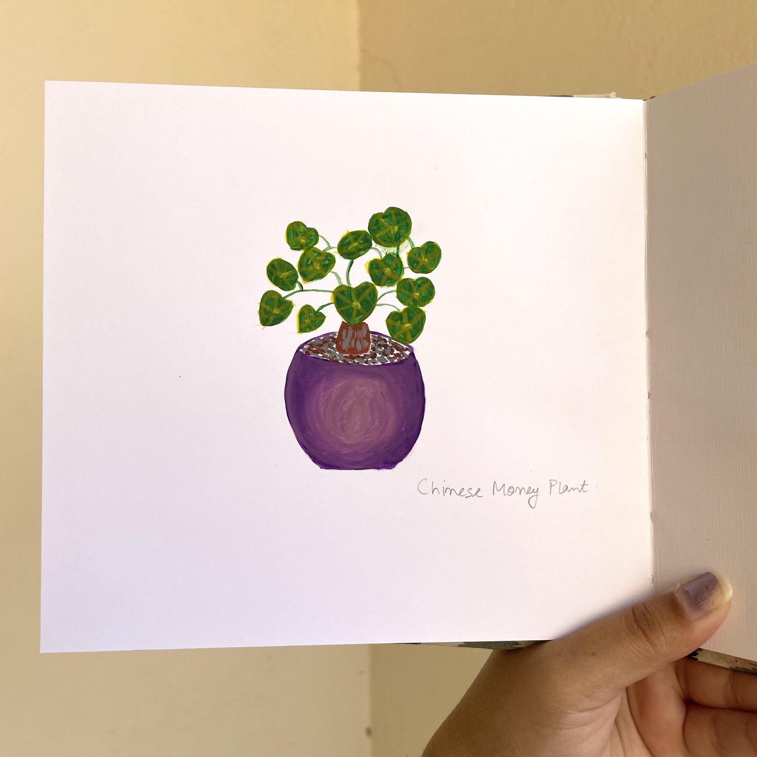 Painting indoor plants - image 12 - student project