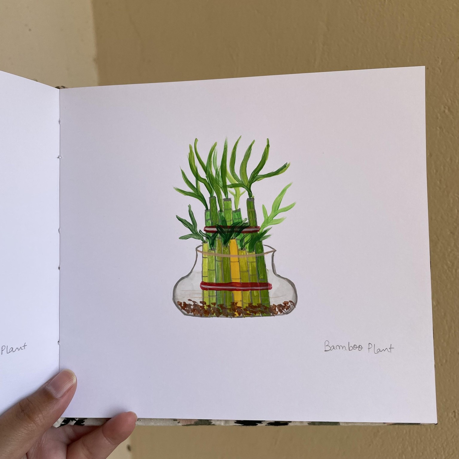 Painting indoor plants - image 7 - student project