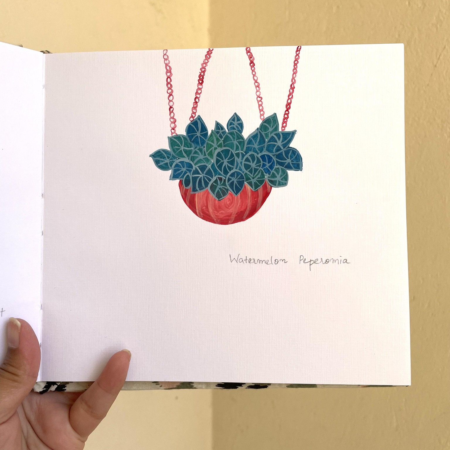Painting indoor plants - image 1 - student project