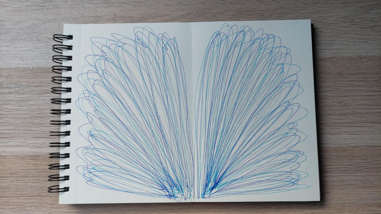 Drawing With Both Hands - image 6 - student project