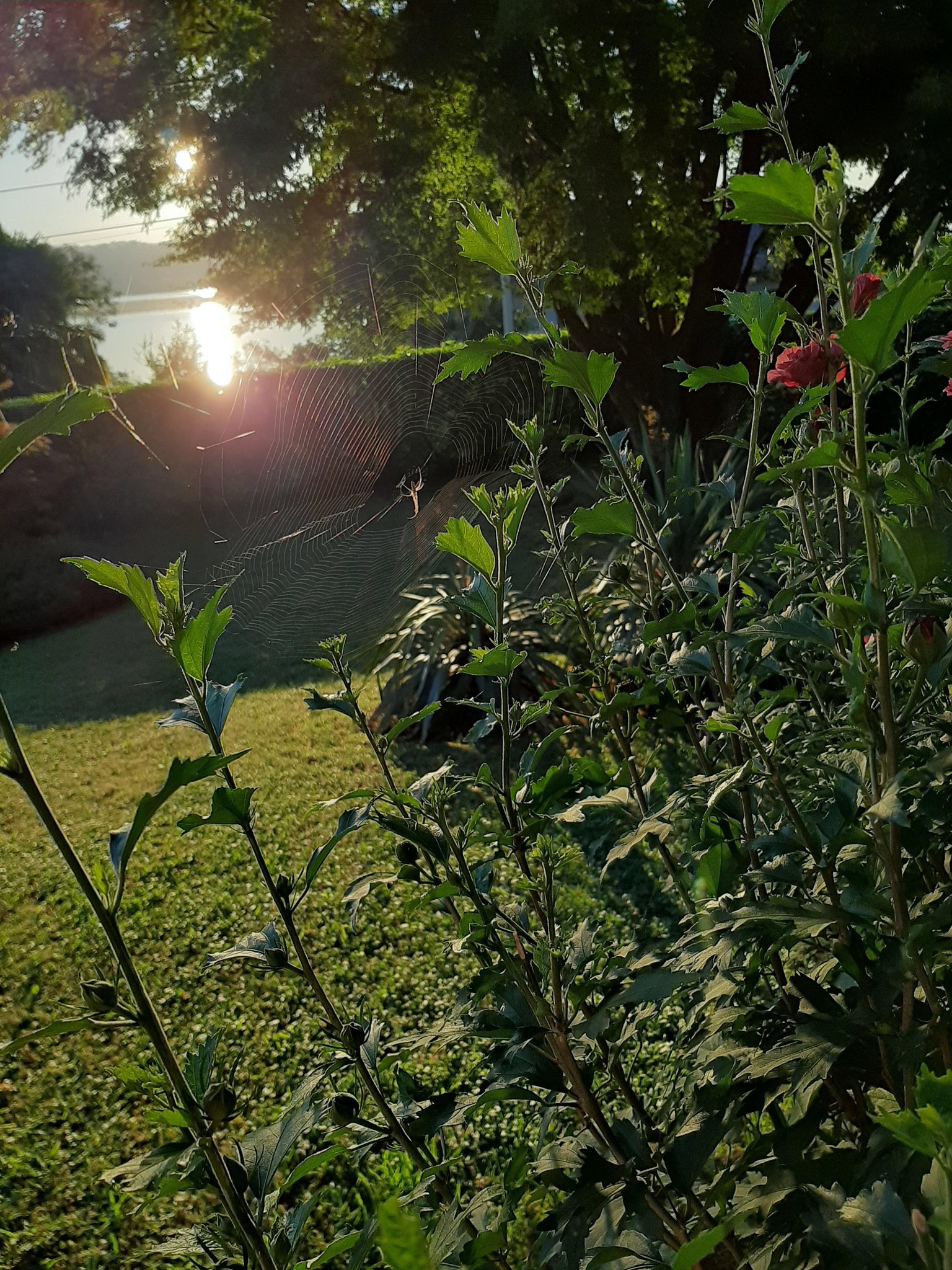 Sunrise on the lake - image 3 - student project
