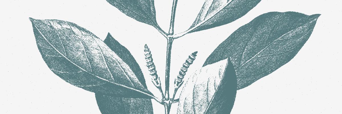 Screen-Printing Grain Effect - image 9 - student project