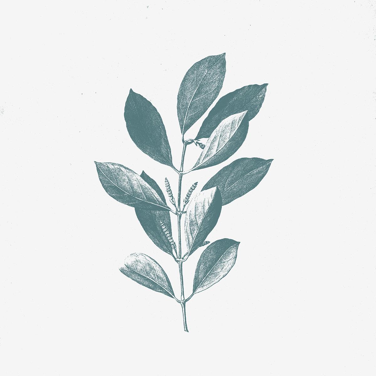 Screen-Printing Grain Effect - image 8 - student project