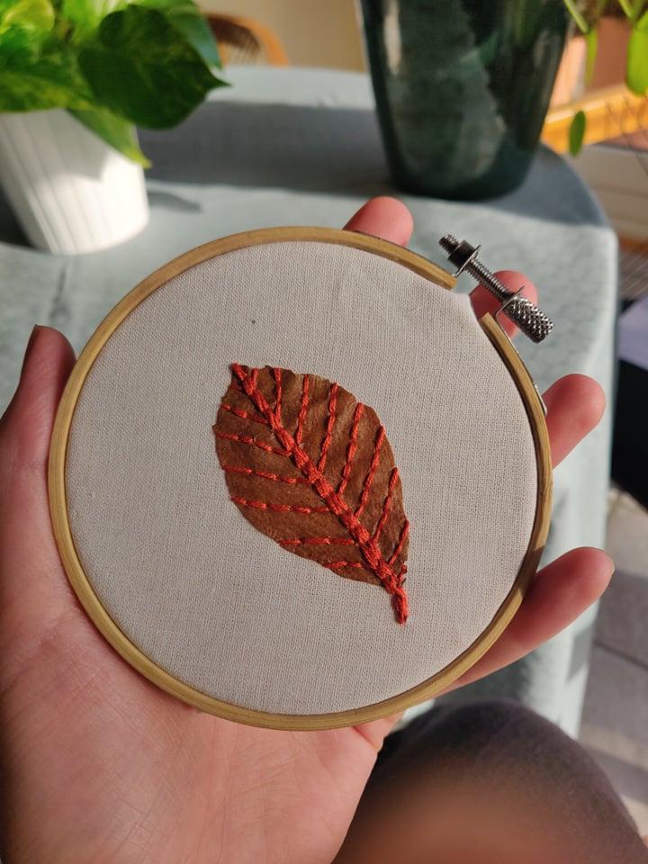 My little embroidered plants - image 5 - student project