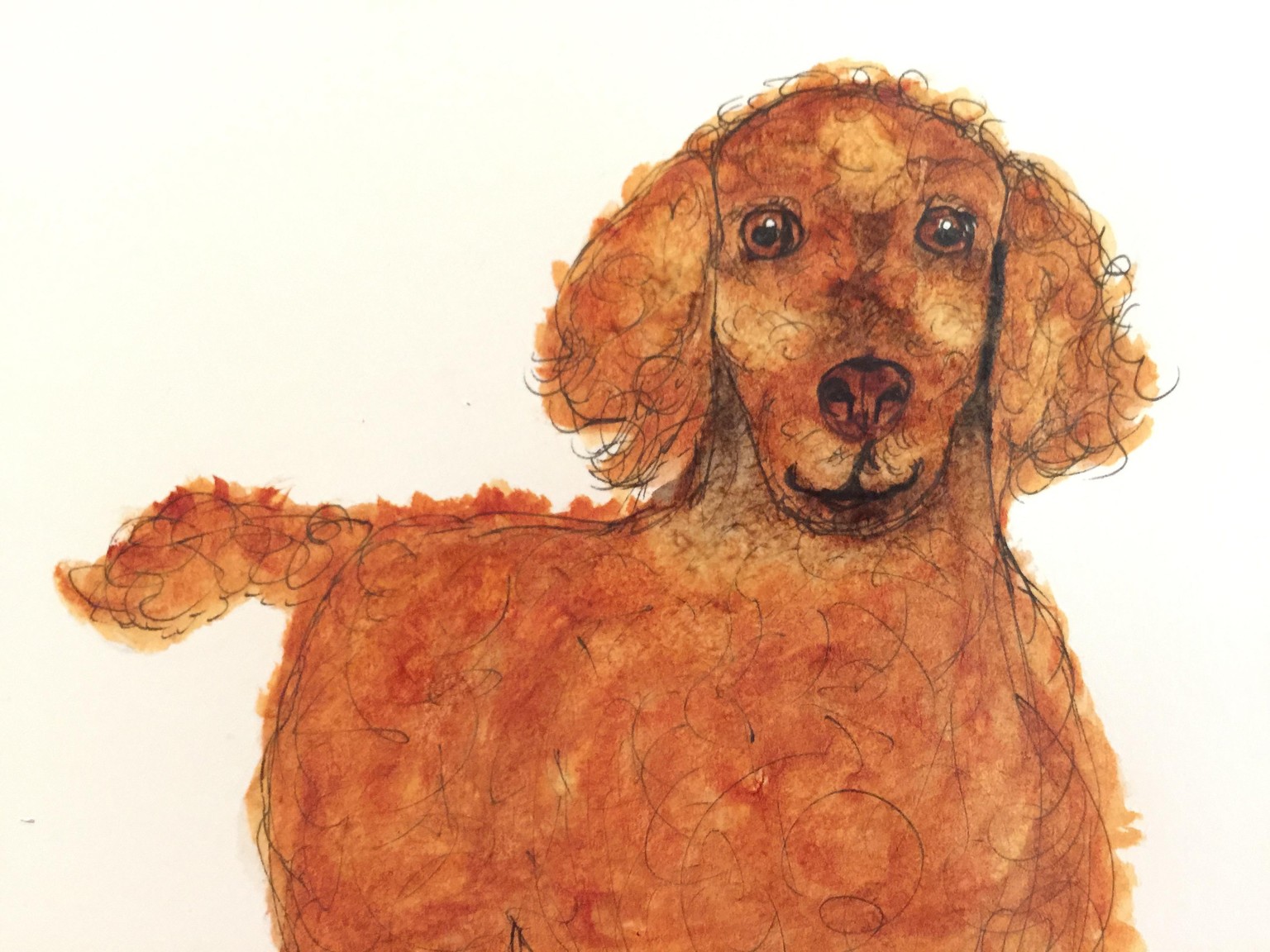 My homework dog - image 1 - student project