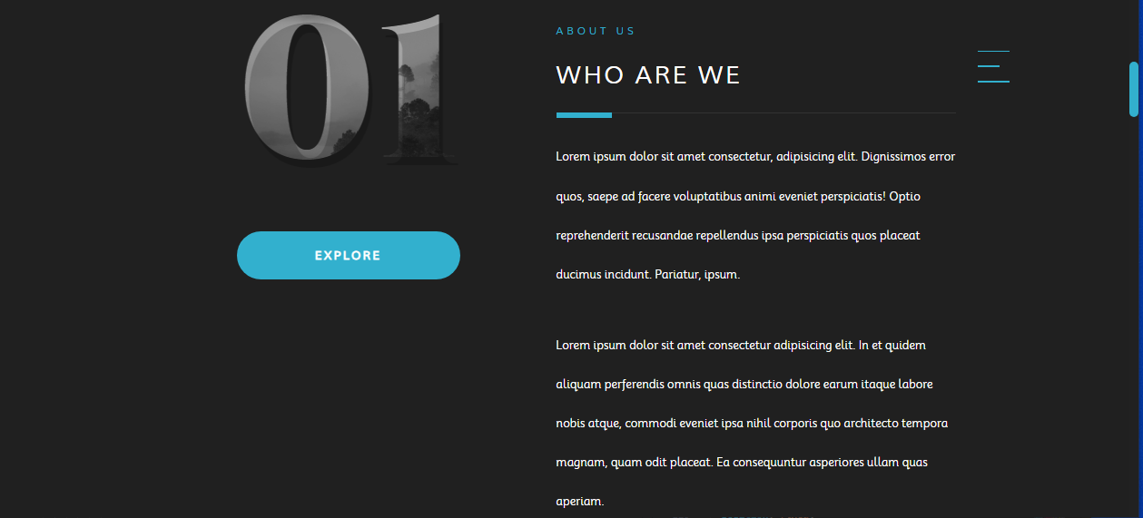 Responsive web design - image 1 - student project