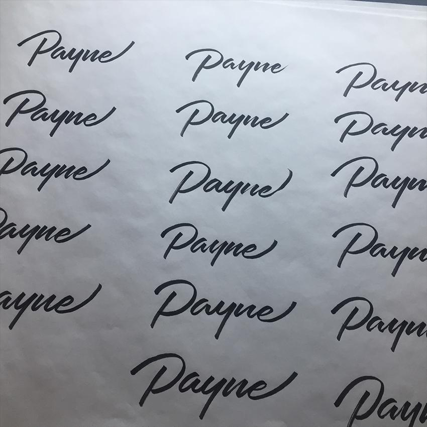Brushpen Logo Design: Develop Your Signature Style - image 3 - student project