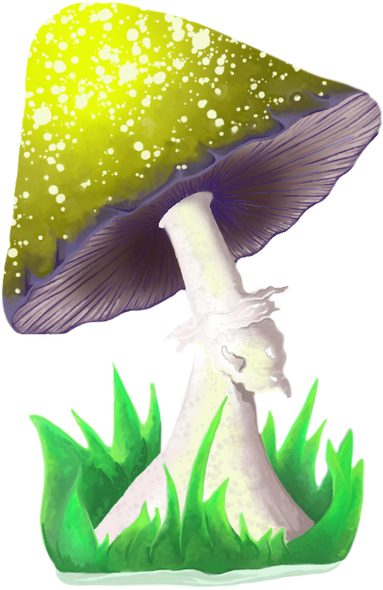 Mushie - image 1 - student project