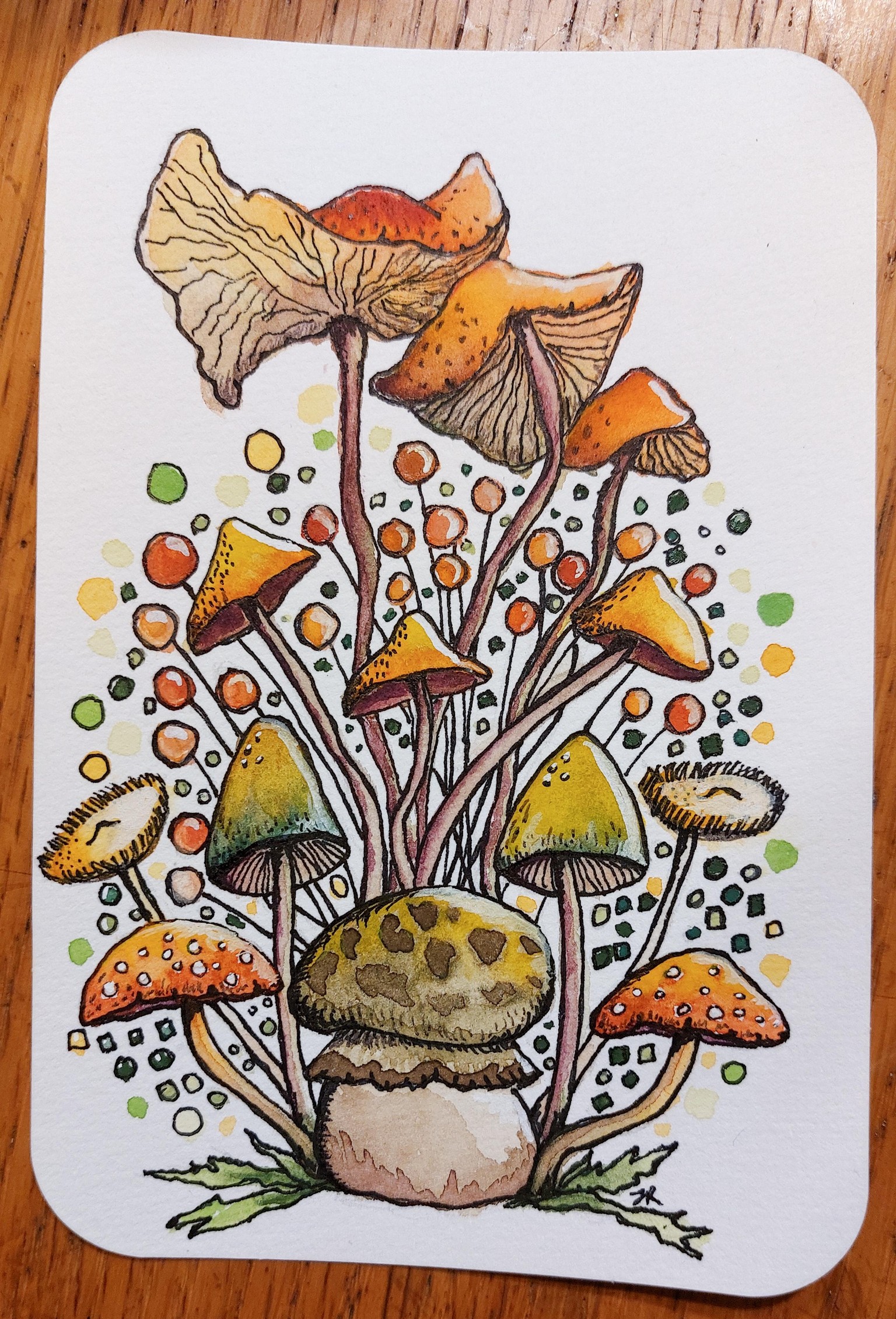 Mushroom Cluster Postcard - image 1 - student project