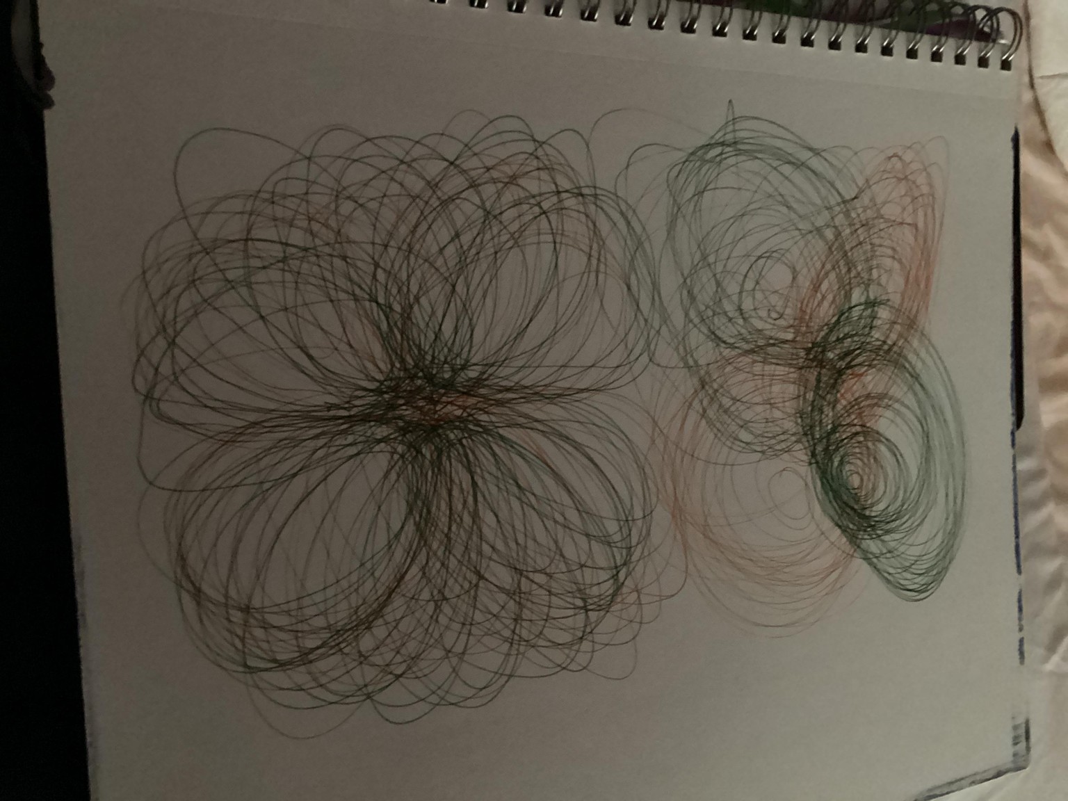Trying out Bilateral drawing - image 1 - student project
