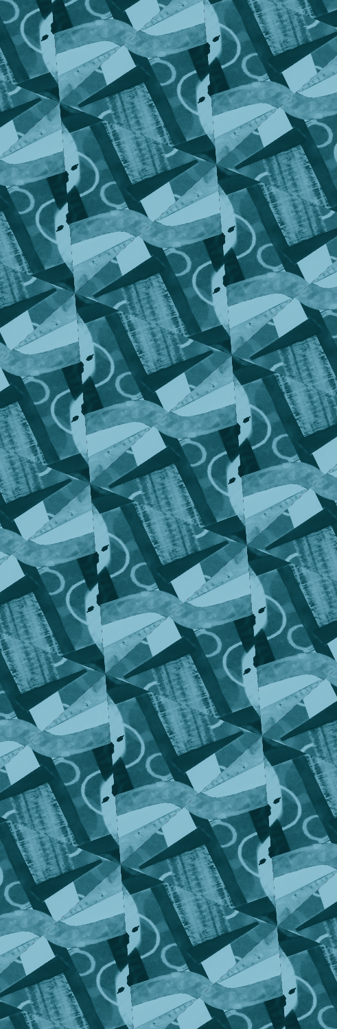 Collage to patterns using the repper app - image 7 - student project