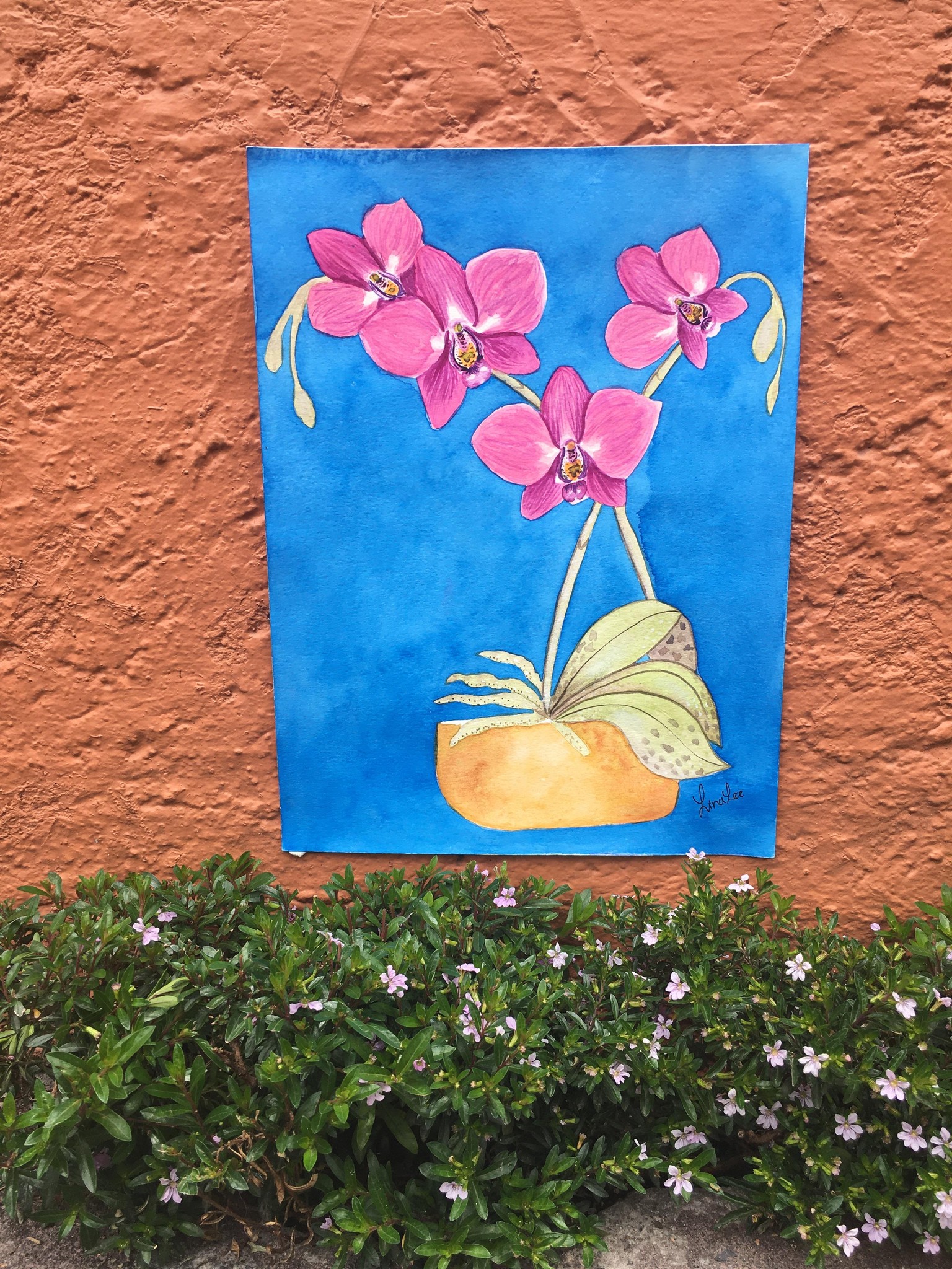 Orchid - image 1 - student project
