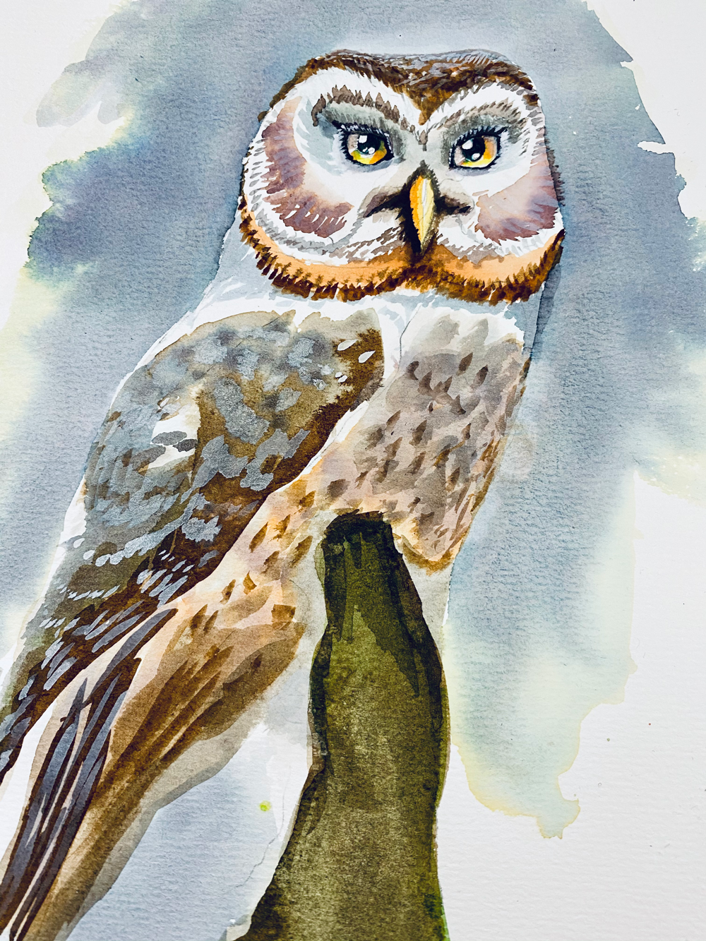 My OwlPainting in INK - image 9 - student project