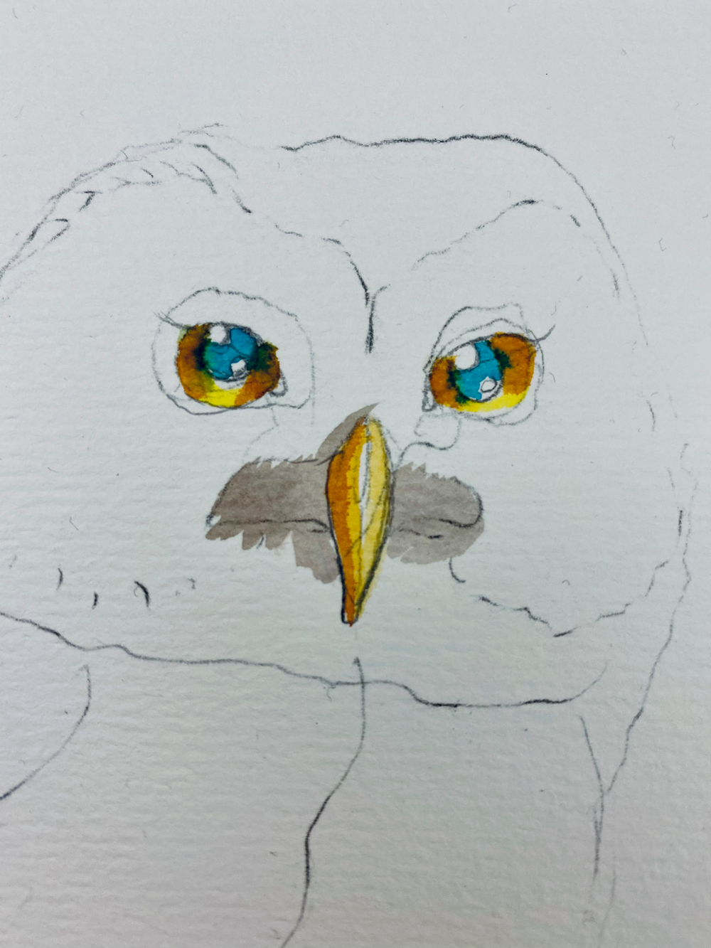 My OwlPainting in INK - image 6 - student project