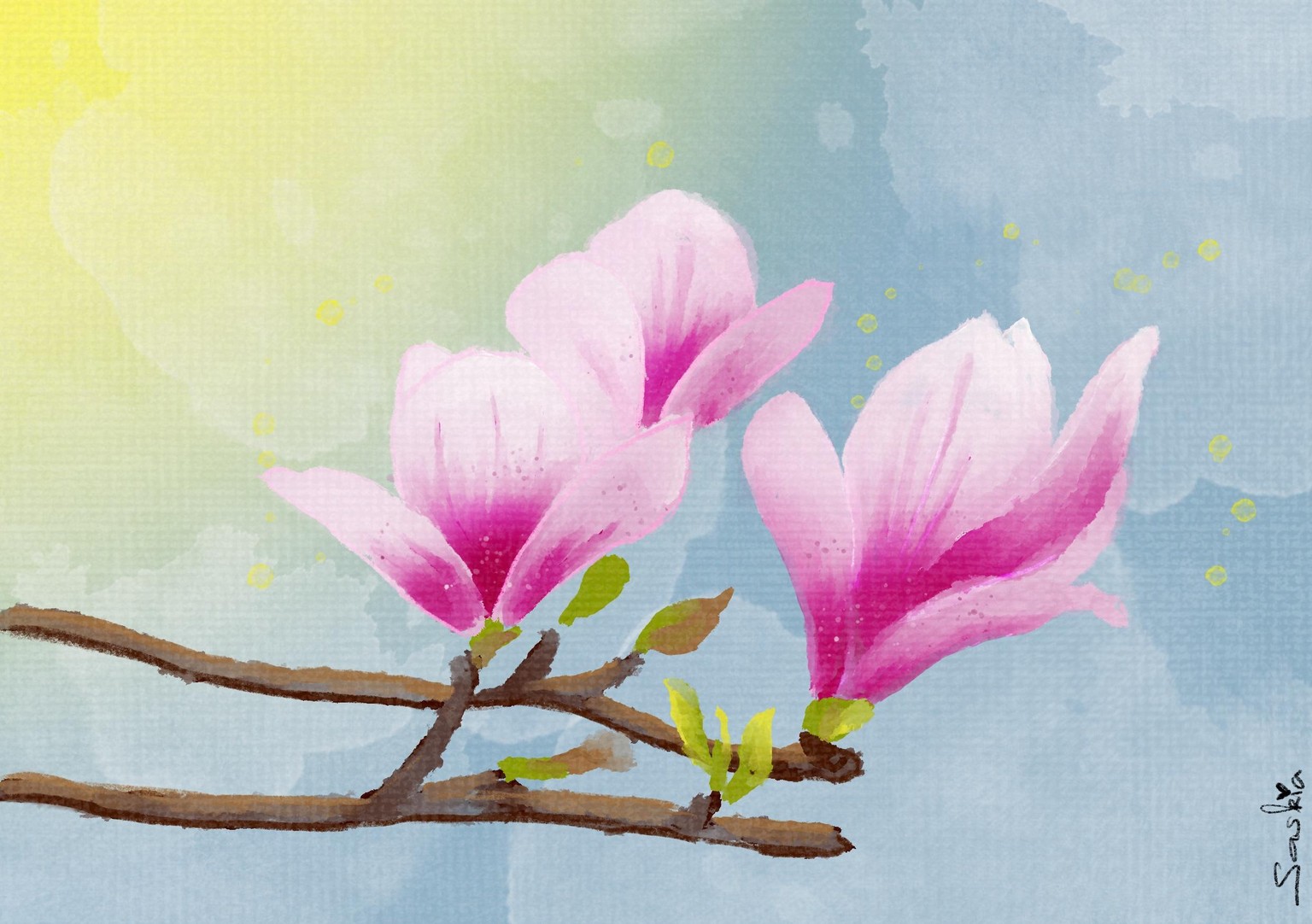 Magnolia - image 1 - student project