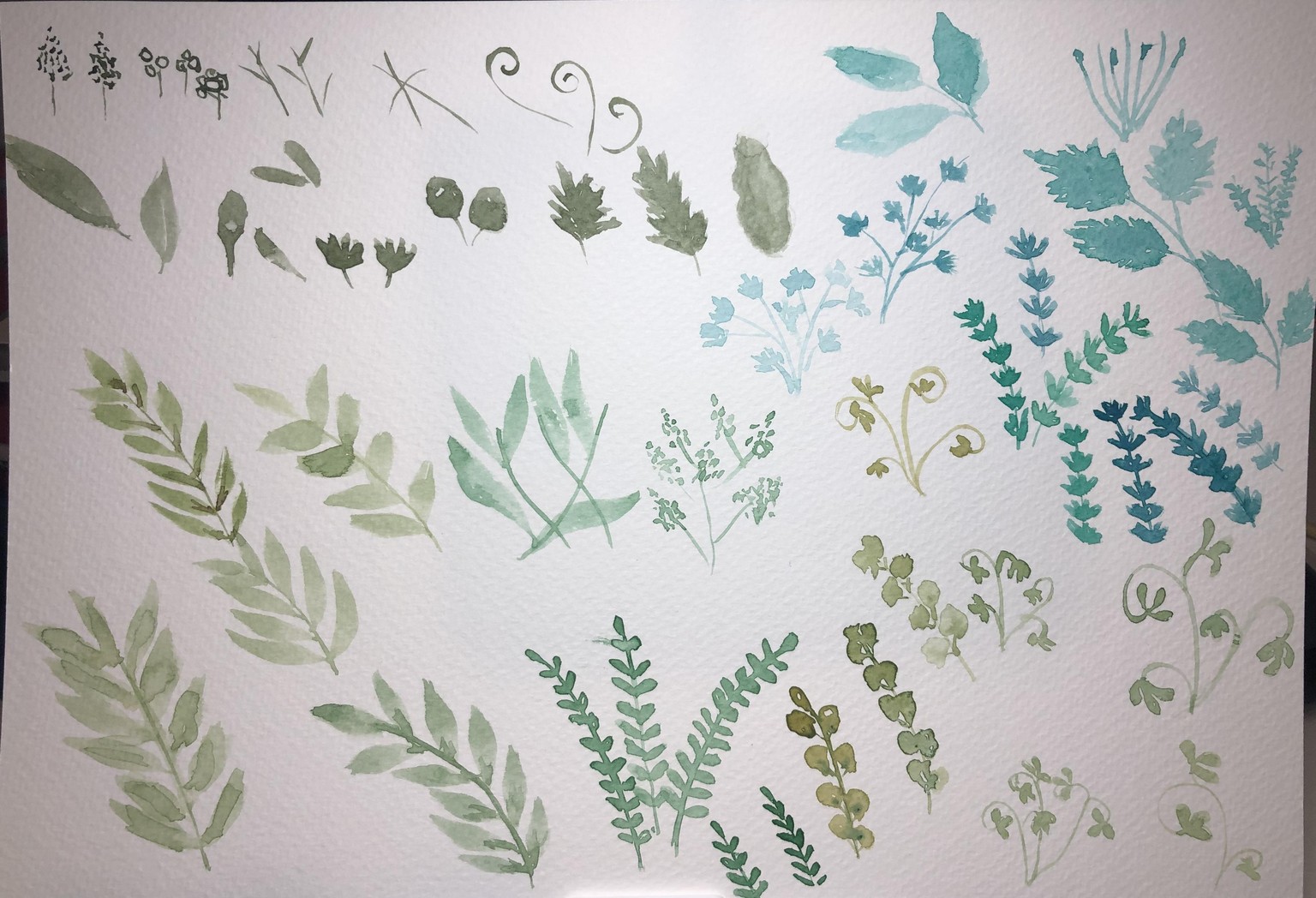Foliage for days! - image 3 - student project
