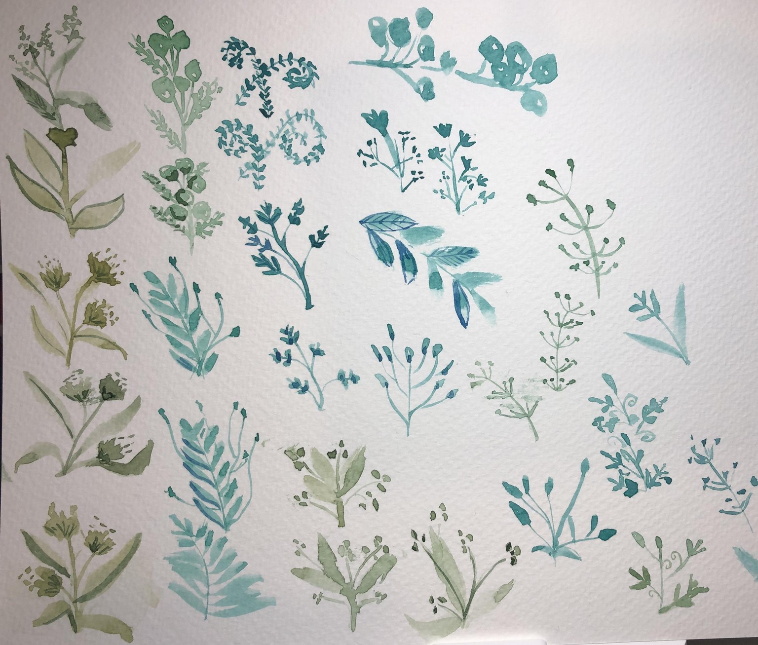 Foliage for days! - image 4 - student project