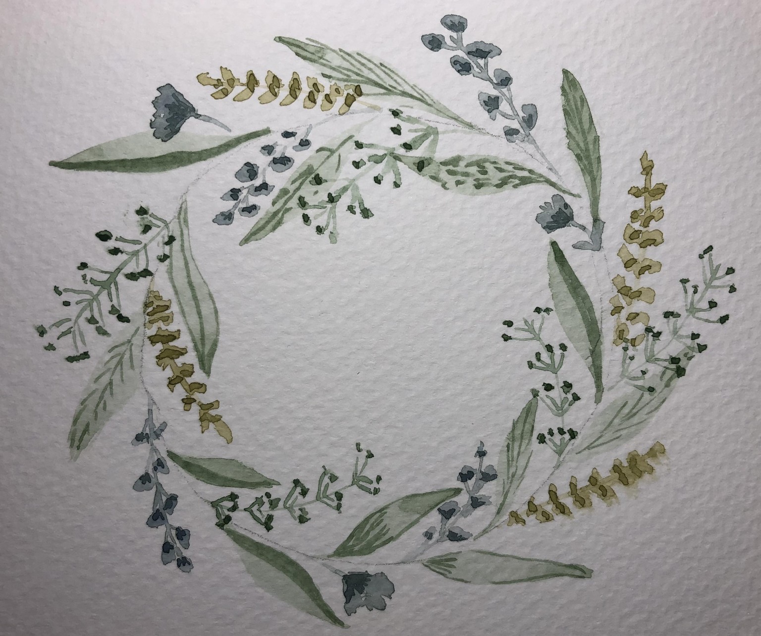 Foliage for days! - image 1 - student project