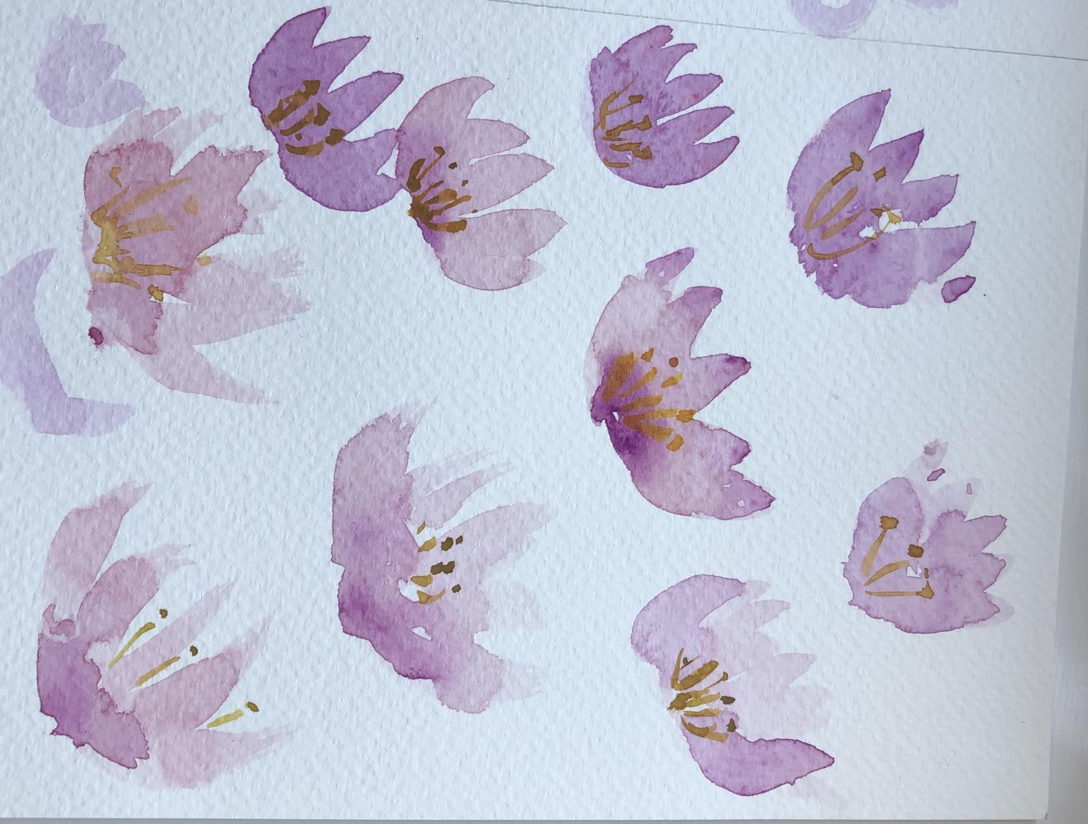Iffy composition, but ok flowers - image 5 - student project