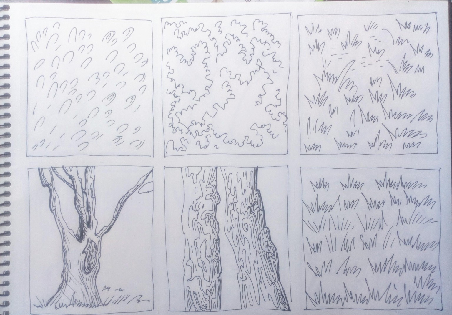 Greenery in Urban Sketching - image 3 - student project