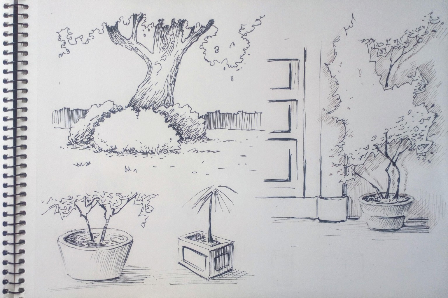 Greenery in Urban Sketching - image 7 - student project