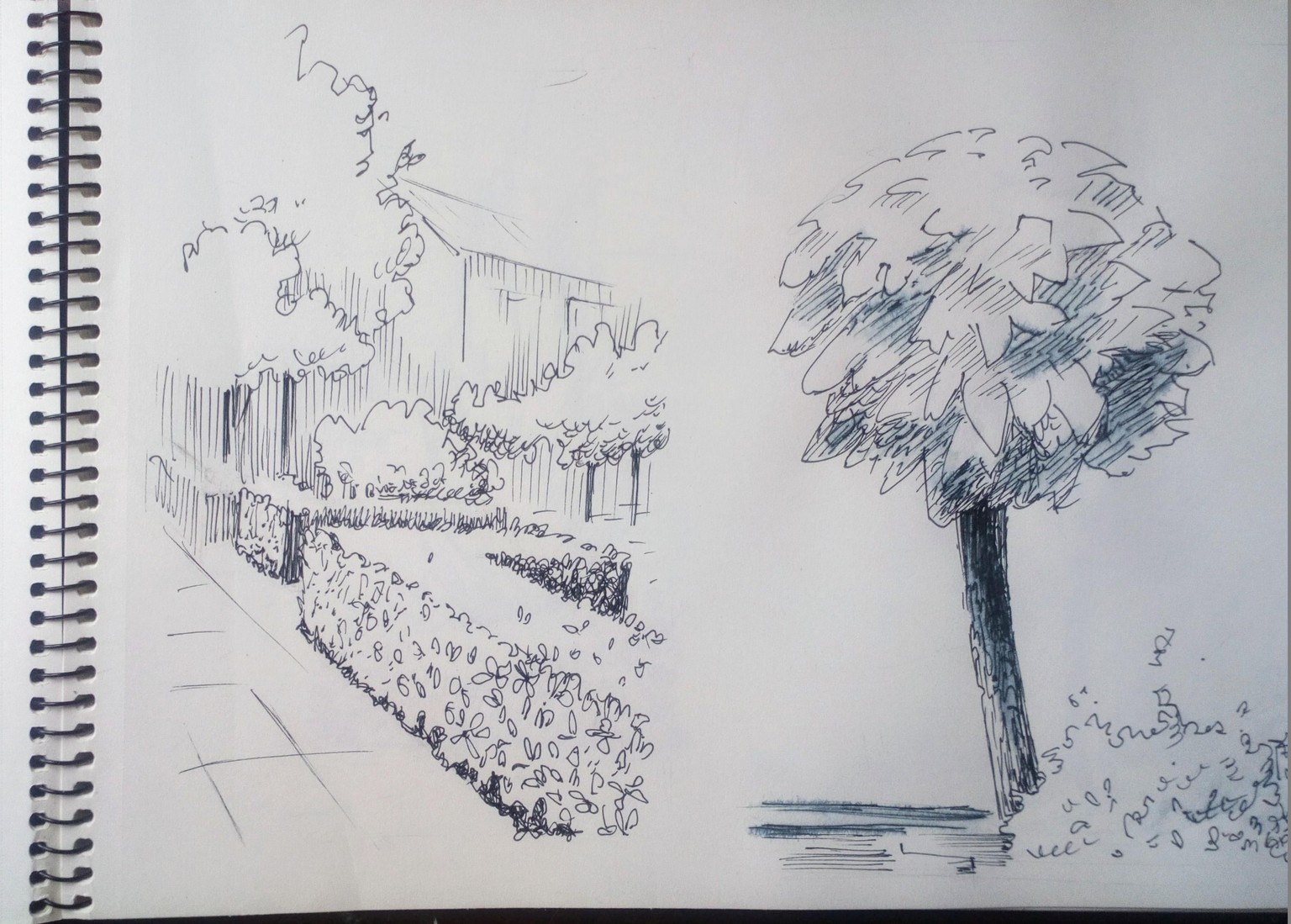 Greenery in Urban Sketching - image 8 - student project