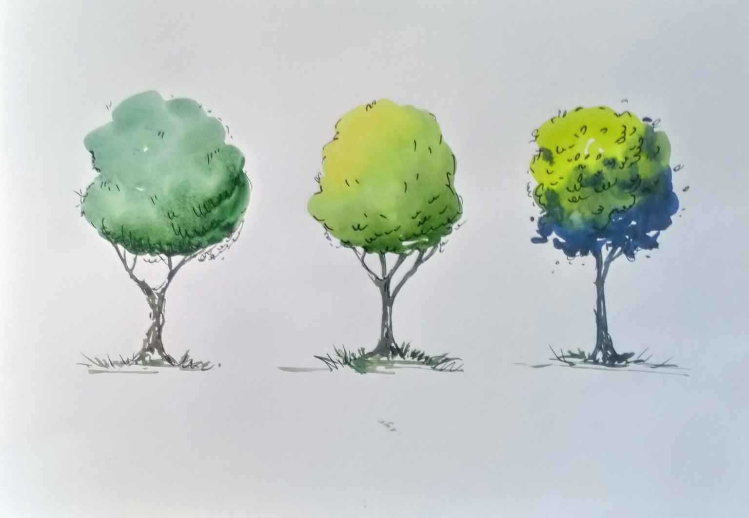 Greenery in Urban Sketching - image 10 - student project