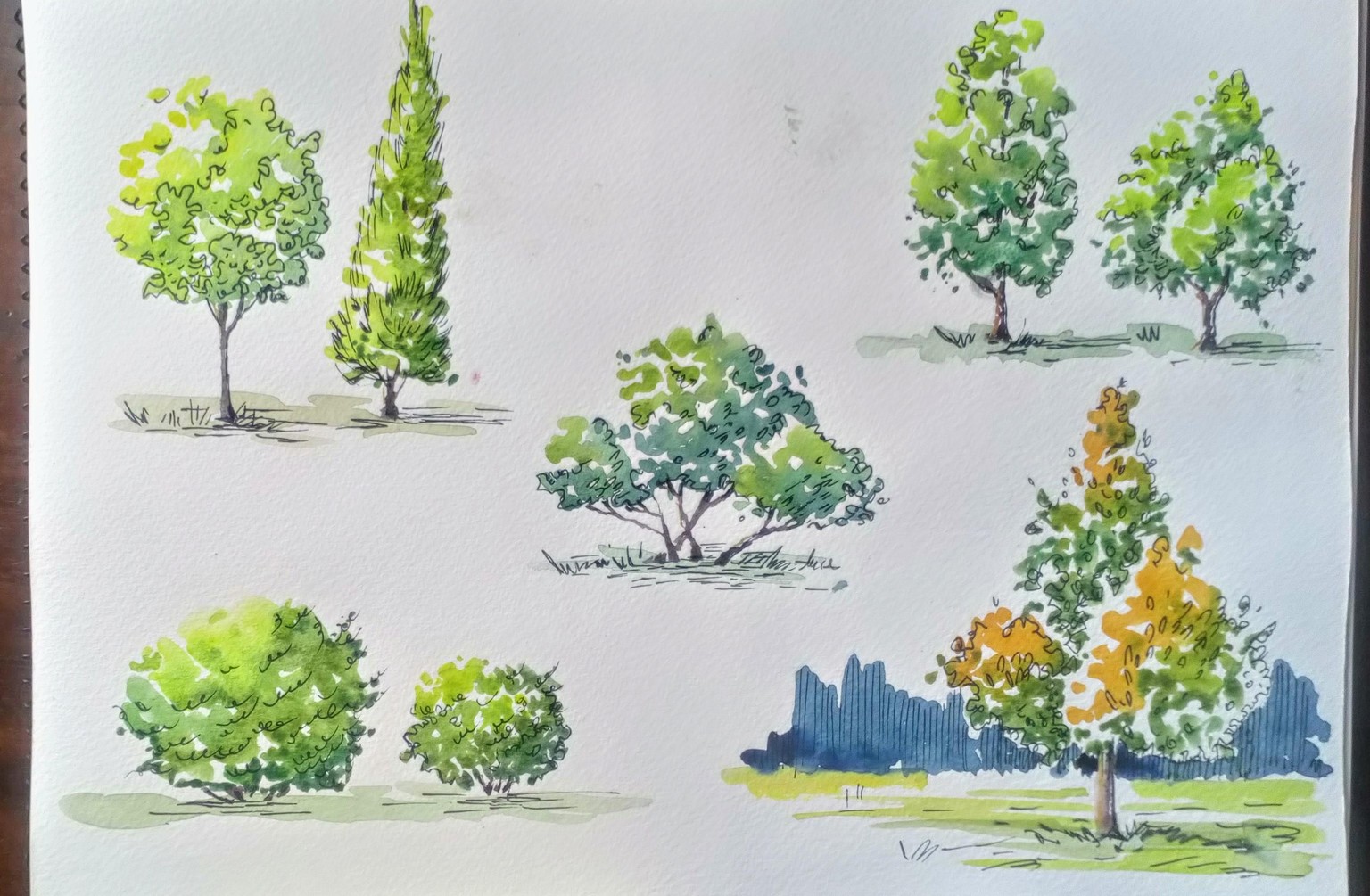Greenery in Urban Sketching - image 13 - student project