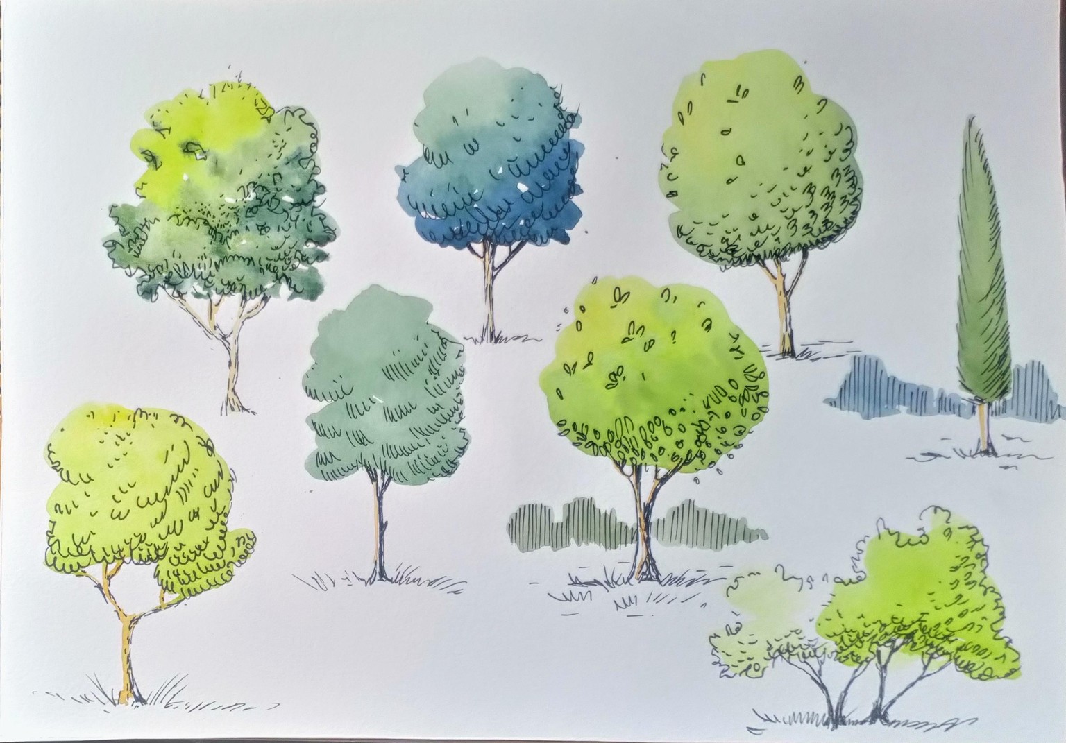 Greenery in Urban Sketching - image 12 - student project
