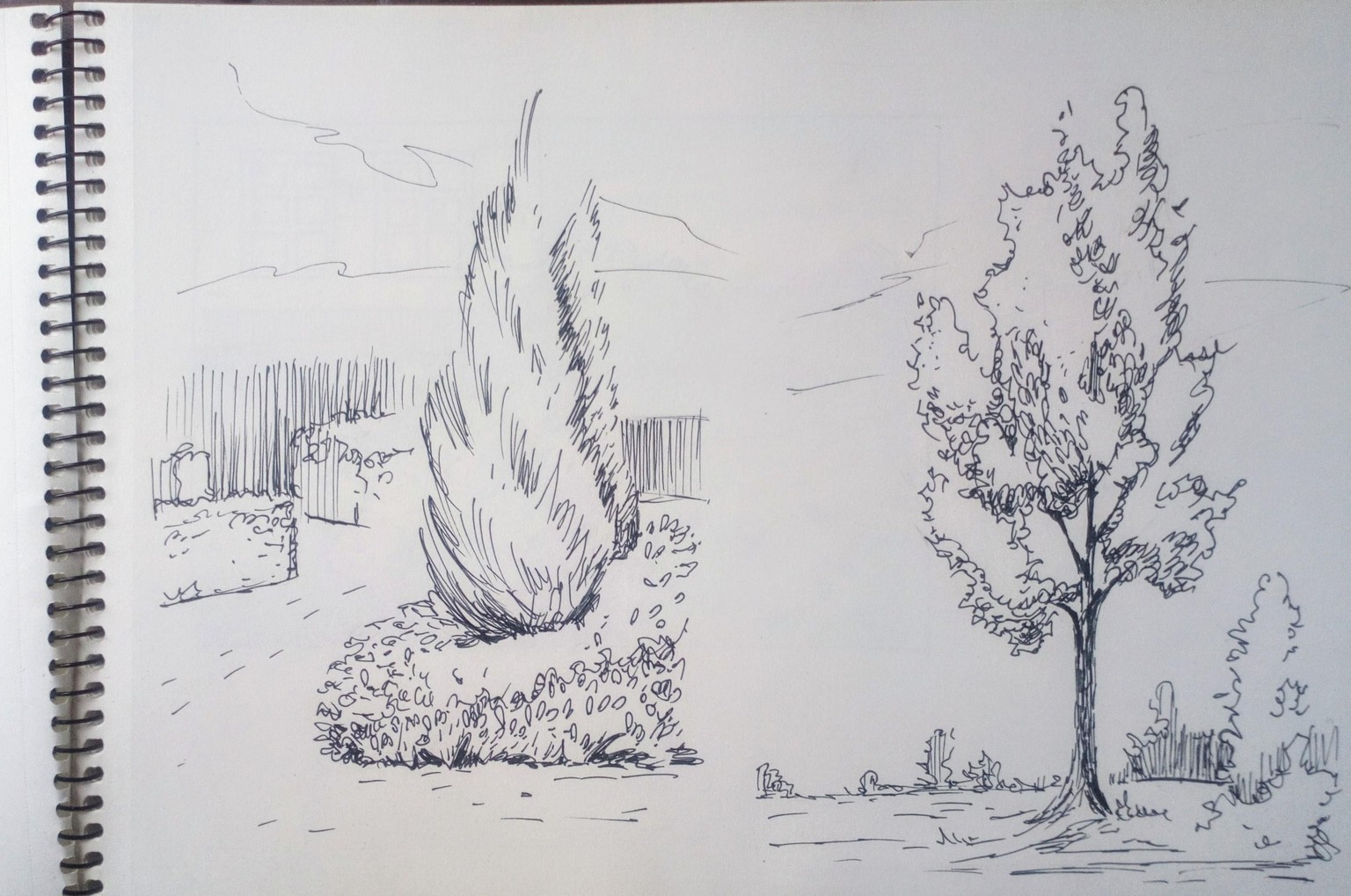 Greenery in Urban Sketching - image 9 - student project