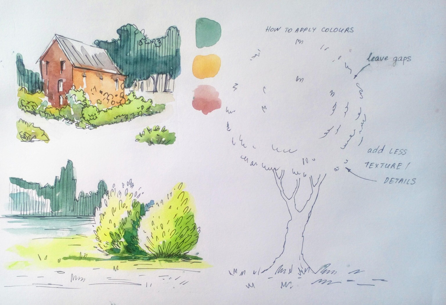 Greenery in Urban Sketching - image 14 - student project