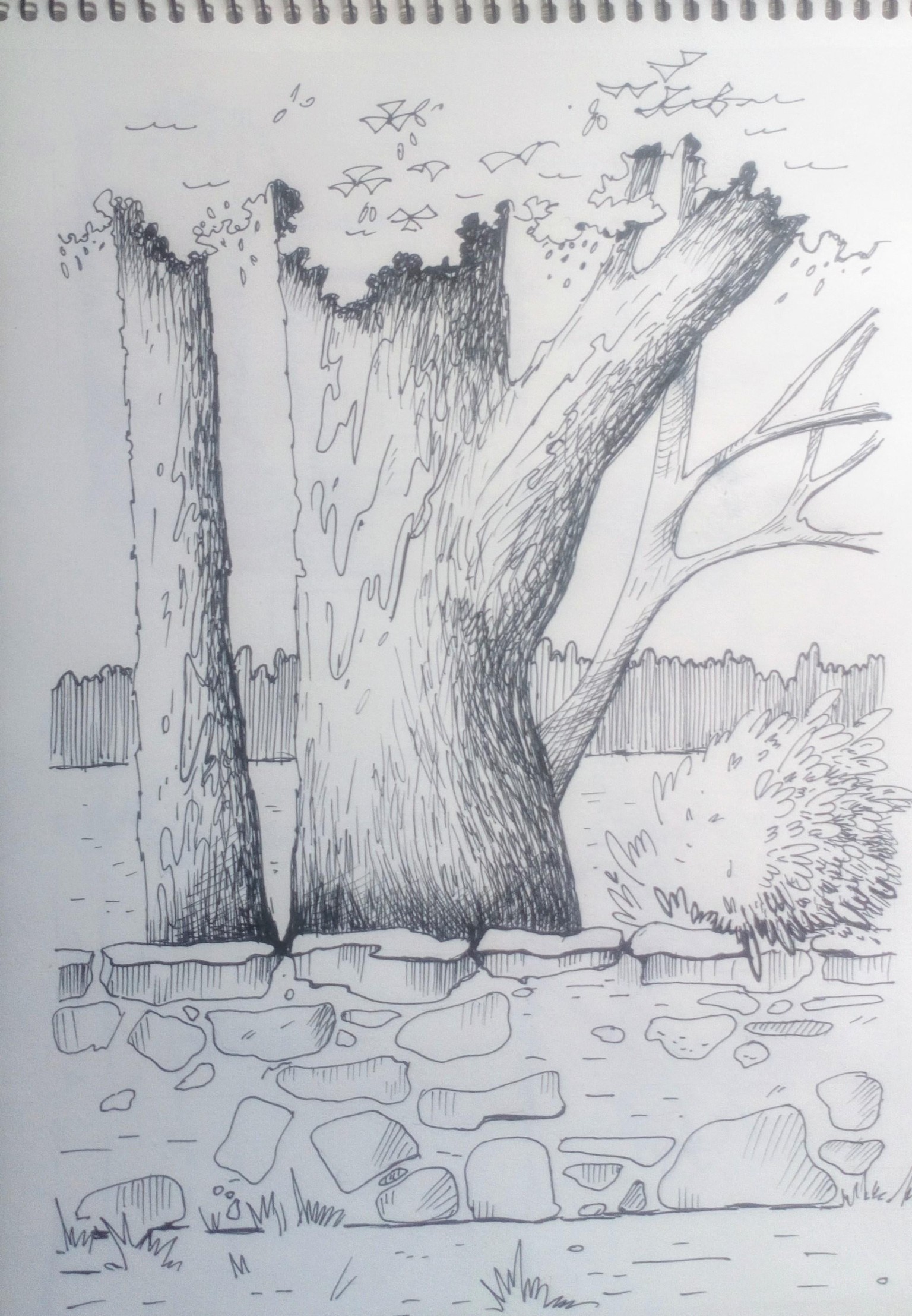Greenery in Urban Sketching - image 5 - student project