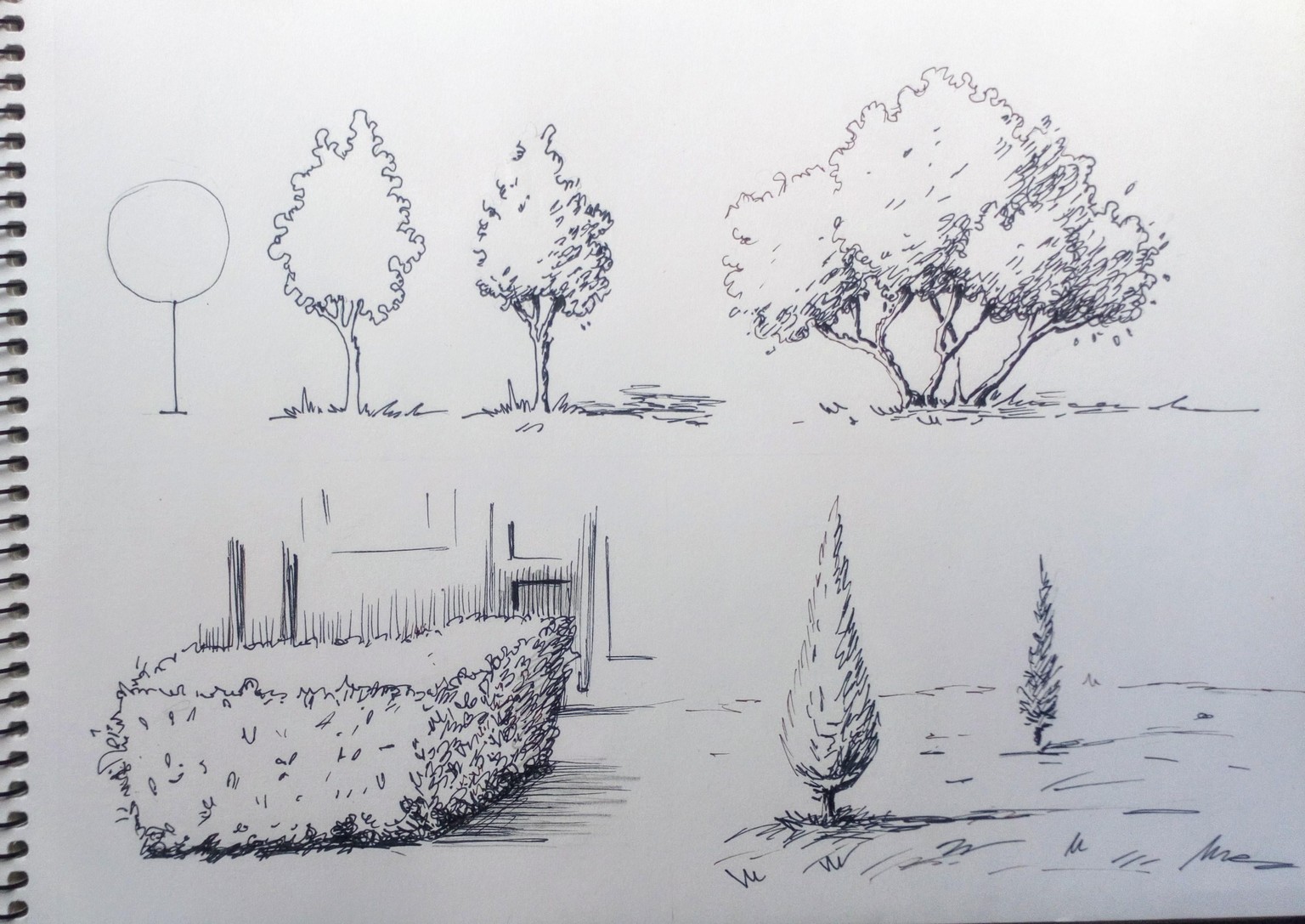 Greenery in Urban Sketching - image 6 - student project