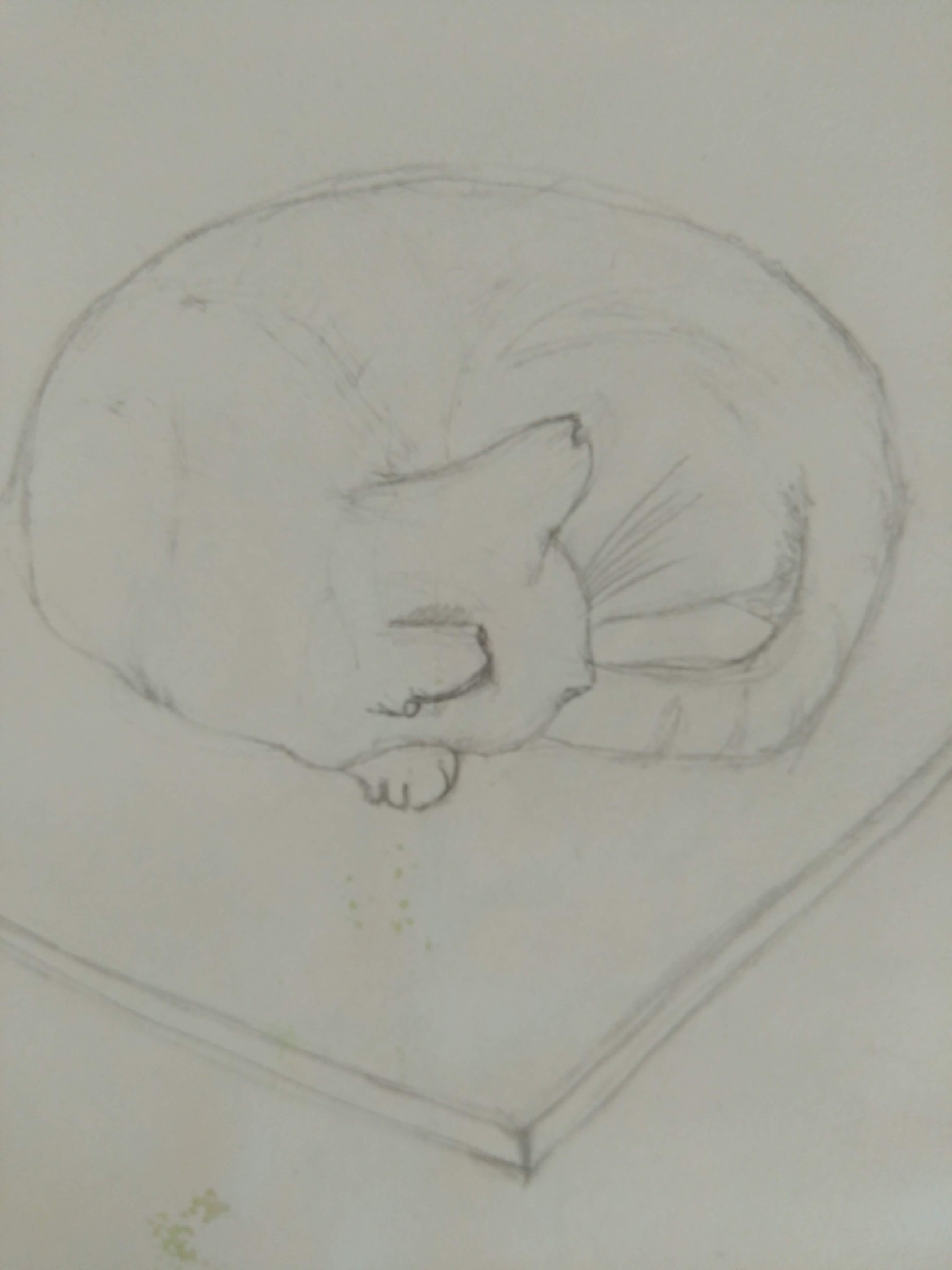 Sleeping cat - image 1 - student project