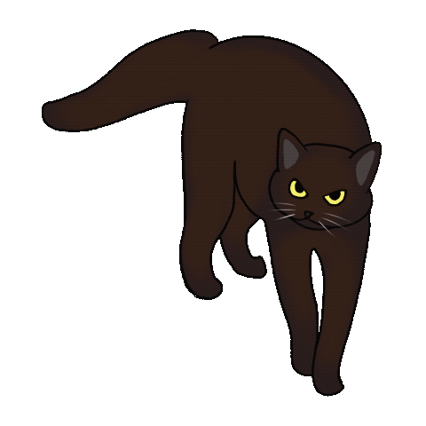 Cat gifs :) - image 1 - student project