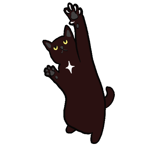 Cat gifs :) - image 2 - student project
