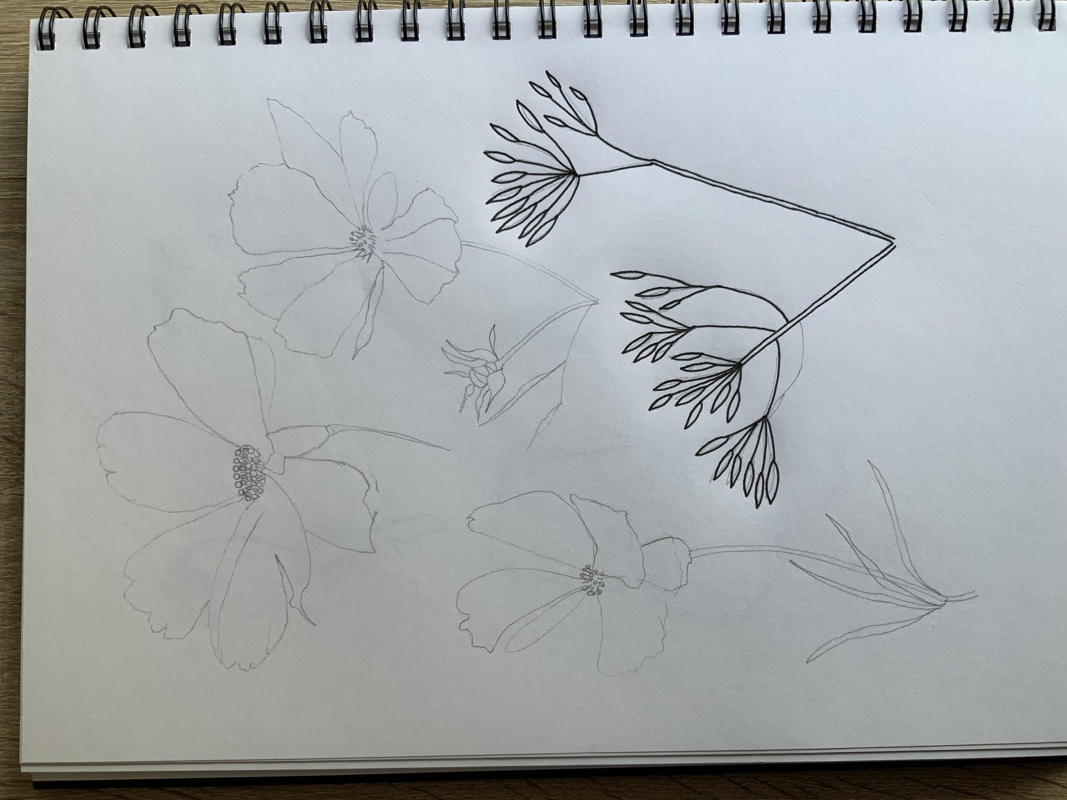 Fluttery floral design - image 1 - student project