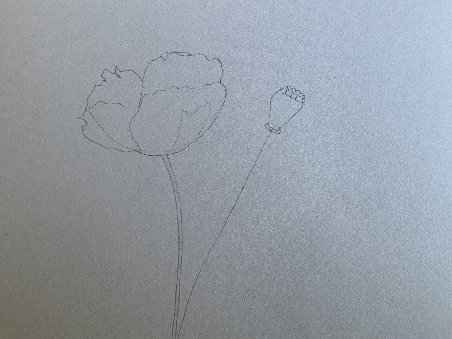 Fluttery floral design - image 2 - student project