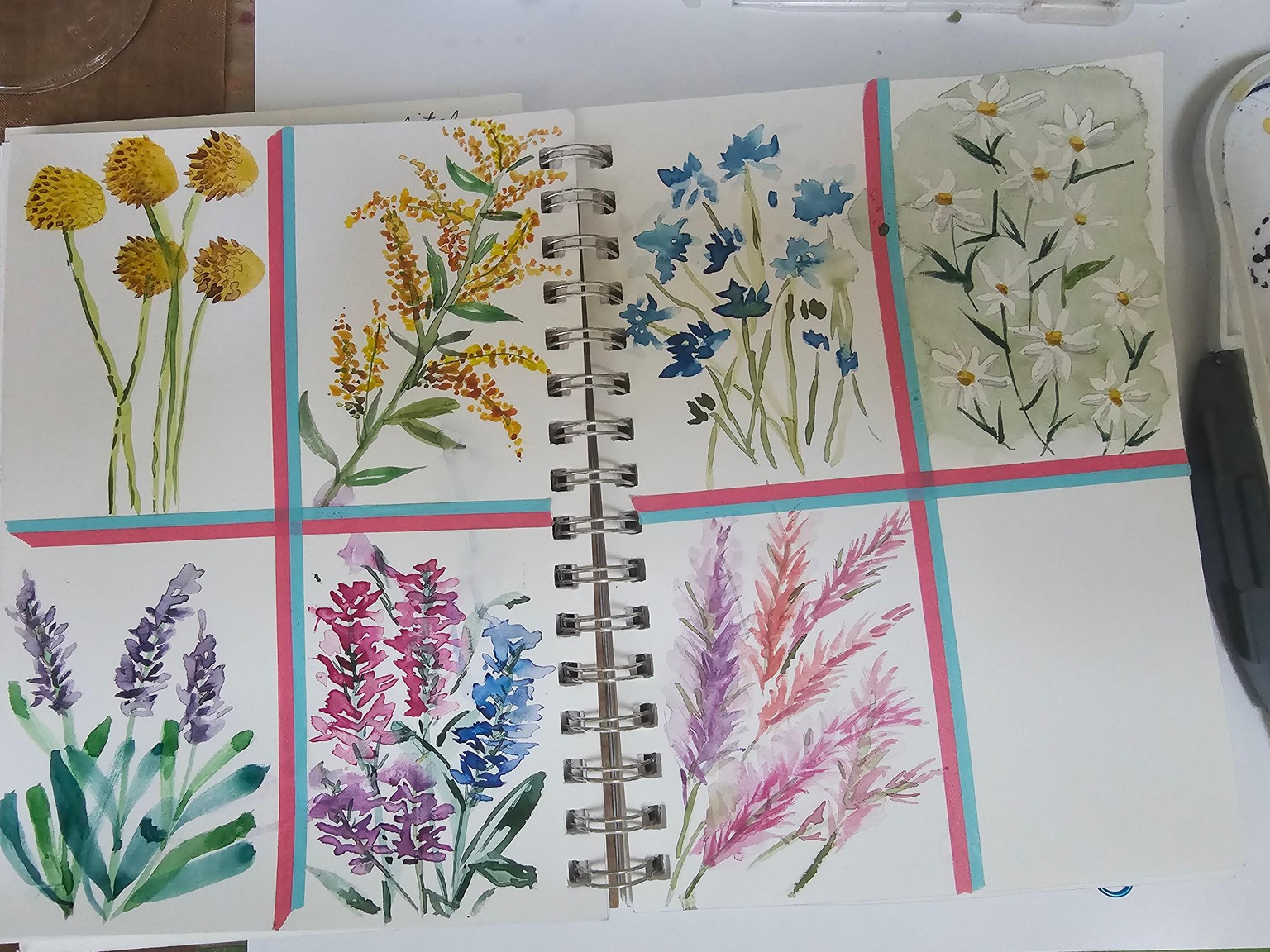 7 day flower challenge sketchbook - image 1 - student project