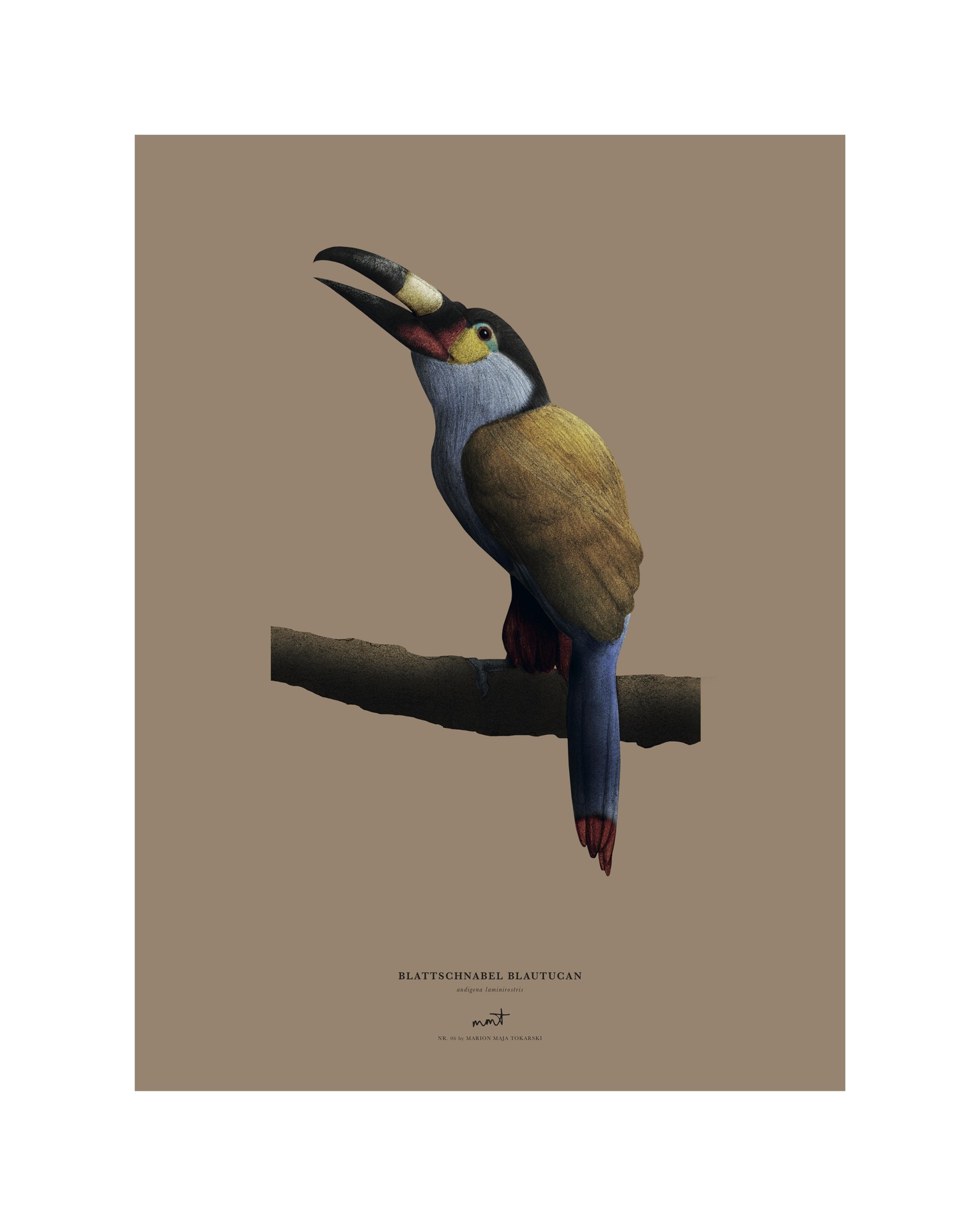 Birds - image 6 - student project