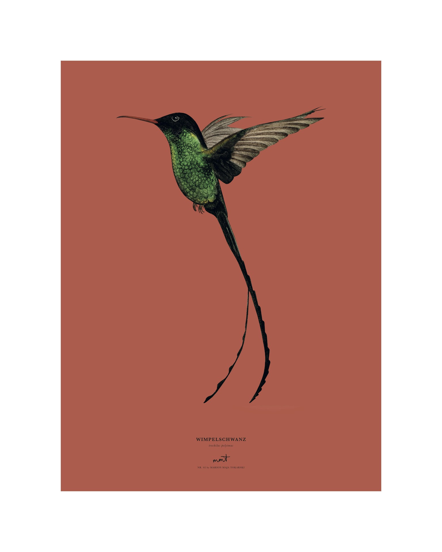 Birds - image 2 - student project
