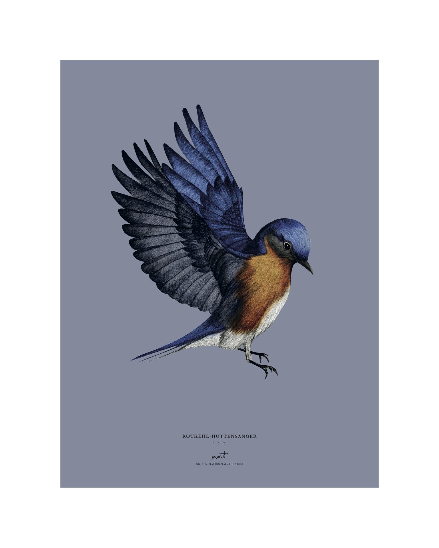 Birds - image 3 - student project