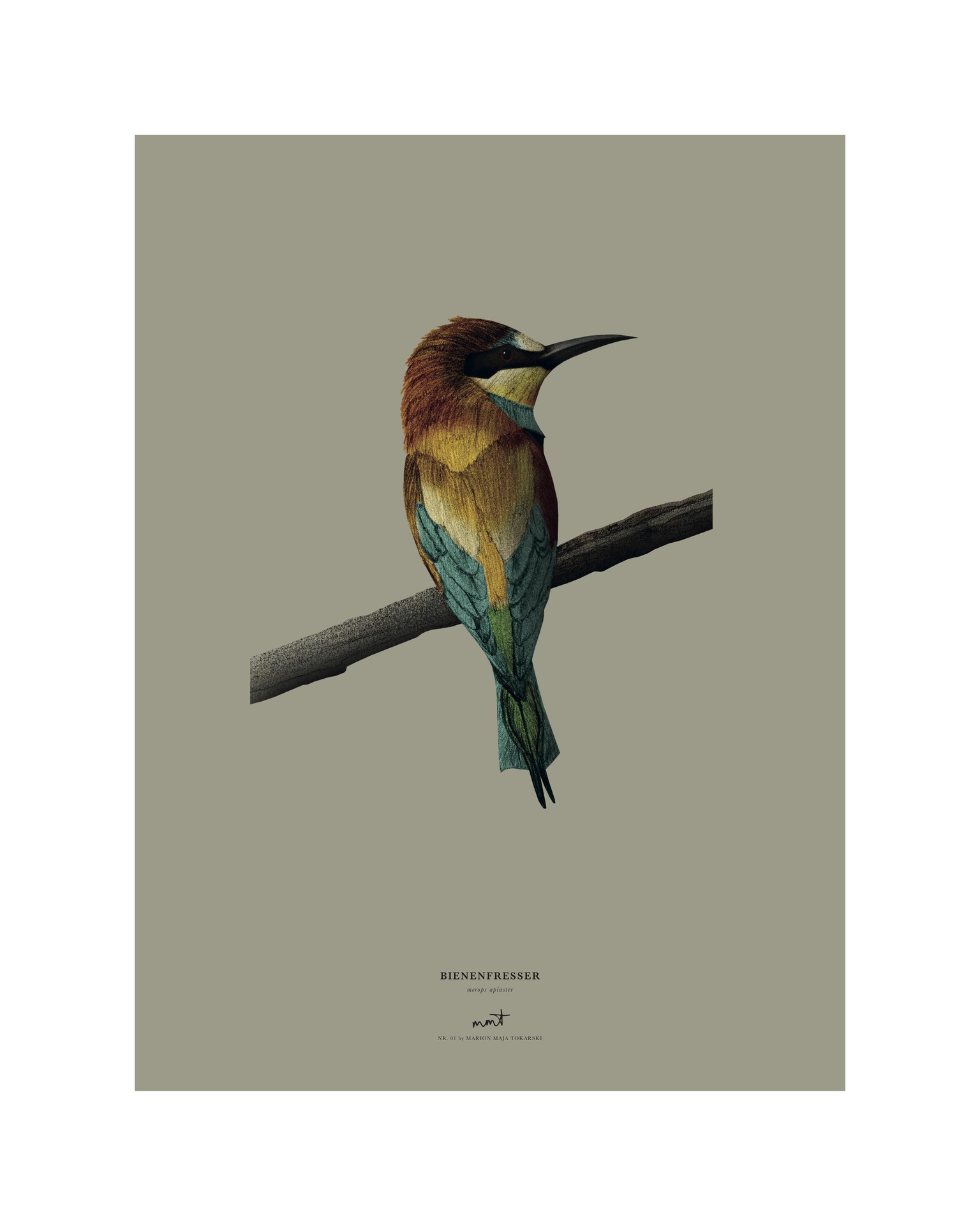 Birds - image 1 - student project